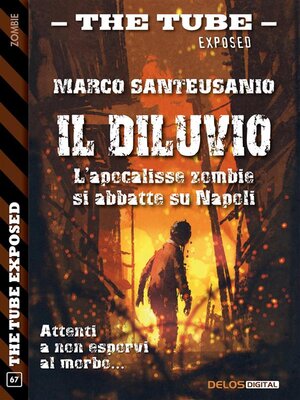 cover image of Il diluvio